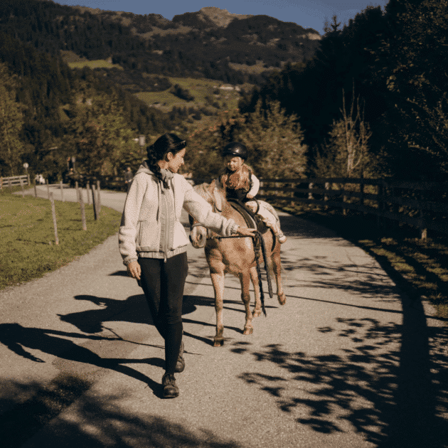 Holzlebn-Urlaub mit Pferden